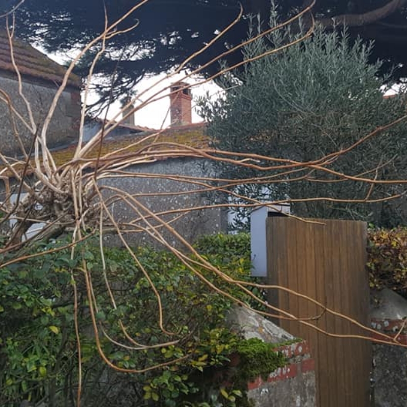 Site Name Couvreur Baud DEMOUSSAGE TOITURE 4